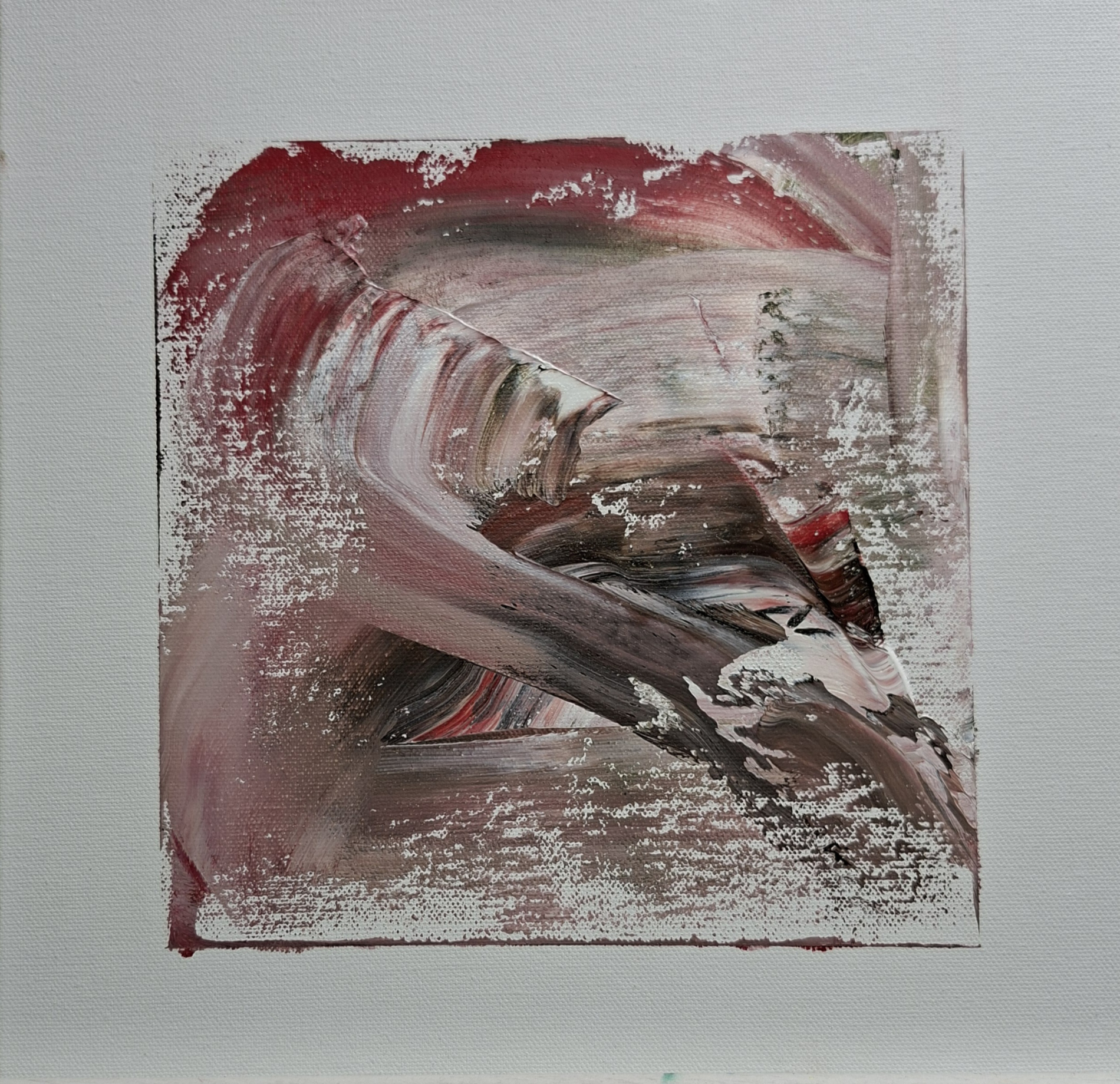 In Time For Hawk On Flight BACK